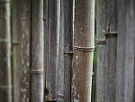 Click to see Y-25_50MMF17-P7060662.JPG