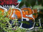 Click to see Y-25_50MMF17-P7060742.JPG