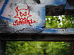 Click to see Y-25_50MMF17-P7060777.JPG