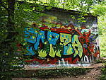 Click to see Y-25_50MMF17-P7060794.JPG