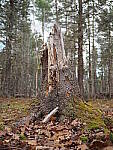 Click to see Y-JG-E-M1-III-OM-20-F1-4-0191.JPG