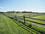 Click to see Y-JG-E-M1-III-PAN-9MM-F1-7-9413.JPG