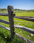 Click to see Y-JG-E-M1-III-PAN-9MM-F1-7-9422-MOD.JPG