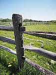 Click to see Y-JG-E-M1-III-PAN-9MM-F1-7-9422.JPG