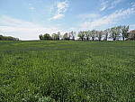 Click to see Y-JG-E-M1-III-PAN-9MM-F1-7-9424.JPG