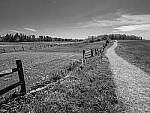 Click to see Y-JG-E-M1-III-PAN-9MM-F1-7-9438-MOD.JPG