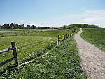 Click to see Y-JG-E-M1-III-PAN-9MM-F1-7-9438.JPG