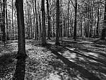Click to see Y-JG-E-M1-III-PAN-9MM-F1-7-9464-MOD.JPG