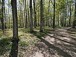 Click to see Y-JG-E-M1-III-PAN-9MM-F1-7-9464.JPG
