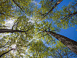 Click to see Y-JG-E-M1-III-PAN-9MM-F1-7-9471-MOD.JPG