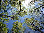 Click to see Y-JG-E-M1-III-PAN-9MM-F1-7-9487.JPG