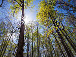 Click to see Y-JG-E-M1-III-PAN-9MM-F1-7-9513-FLARE-MOD.JPG