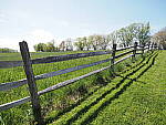Click to see Y-JG-E-M1-III-PAN-9MM-F1-7-9533.JPG