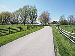 Click to see Y-JG-E-M1-III-PAN-9MM-F1-7-9537.JPG