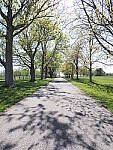 Click to see Y-JG-E-M1-III-PAN-9MM-F1-7-9546.JPG