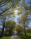 Click to see Y-JG-E-M1-III-PAN-9MM-F1-7-9555-MOD.JPG