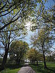 Click to see Y-JG-E-M1-III-PAN-9MM-F1-7-9555.JPG