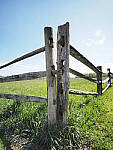 Click to see Y-JG-E-M1-III-PAN-9MM-F1-7-9671.JPG