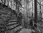 Click to see Y-JG-E-M1-III-PAN-9MM-F1-7-9676-MOD.JPG