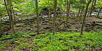 Click to see Y-JG-E-M1-III-PAN-9MM-F1-7-9687-MOD.JPG