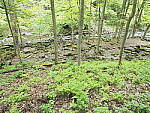Click to see Y-JG-E-M1-III-PAN-9MM-F1-7-9687.JPG