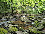 Click to see Y-JG-E-M1-III-PAN-9MM-F1-7-9719.JPG