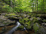 Click to see Y-JG-E-M1-III-PAN-9MM-F1-7-9722-MOD.JPG
