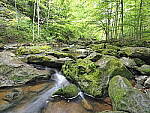 Click to see Y-JG-E-M1-III-PAN-9MM-F1-7-9722.JPG