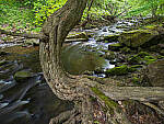 Click to see Y-JG-E-M1-III-PAN-9MM-F1-7-9725-MOD.JPG