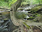 Click to see Y-JG-E-M1-III-PAN-9MM-F1-7-9725.JPG
