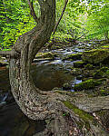 Click to see Y-JG-E-M1-III-PAN-9MM-F1-7-9728-MOD.JPG