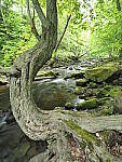 Click to see Y-JG-E-M1-III-PAN-9MM-F1-7-9728.JPG