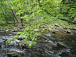 Click to see Y-JG-E-M1-III-PAN-9MM-F1-7-9729.JPG