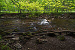Click to see Y-JG-E-M1-III-PAN-9MM-F1-7-9731-MOD.JPG