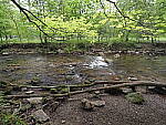 Click to see Y-JG-E-M1-III-PAN-9MM-F1-7-9731.JPG