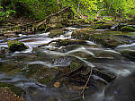 Click to see Y-JG-E-M1-III-PAN-9MM-F1-7-9742-MOD.JPG