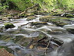 Click to see Y-JG-E-M1-III-PAN-9MM-F1-7-9742.JPG