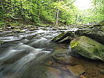 Click to see Y-JG-E-M1-III-PAN-9MM-F1-7-9768.JPG