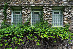 Click to see Y-JG-E-M1-III-PAN-9MM-F1-7-9833-MOD.JPG
