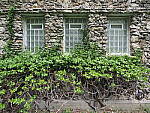 Click to see Y-JG-E-M1-III-PAN-9MM-F1-7-9833.JPG