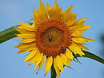 Click to see Y-WB-100_400-EM1III-P8020864.JPG