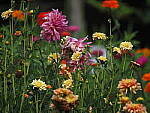 Click to see Y-WB-100_400-EM1III-P8021005.JPG