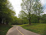 Click to see Y-WB-12_45MM-P3300108.JPG