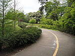 Click to see Y-WB-12_45MM-P3300205.JPG