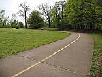 Click to see Y-WB-12_45MM-P3300224.JPG