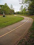 Click to see Y-WB-12_45MM-P3300233.JPG