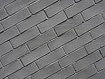 Click to see Y-WB-12_45MM-P4010339-25mm-f5.6.JPG