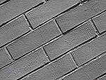 Click to see Y-WB-12_45MM-P4010345-45mm-f5.6.JPG