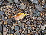 Click to see Y-WB-8_25MM-P6020036.JPG