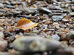 Click to see Y-WB-8_25MM-P6020040.JPG